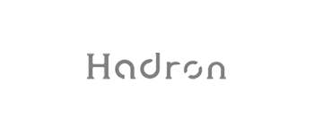 Hadron
