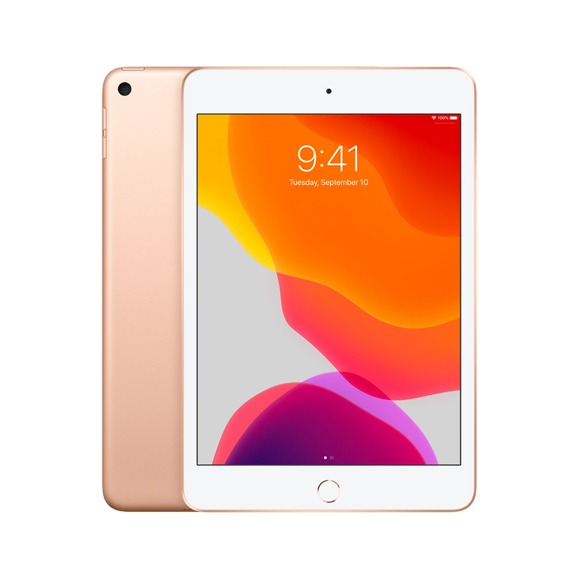 Apple iPad Mini 5th 7.9-inch 256GB Wi-Fi+Cellular