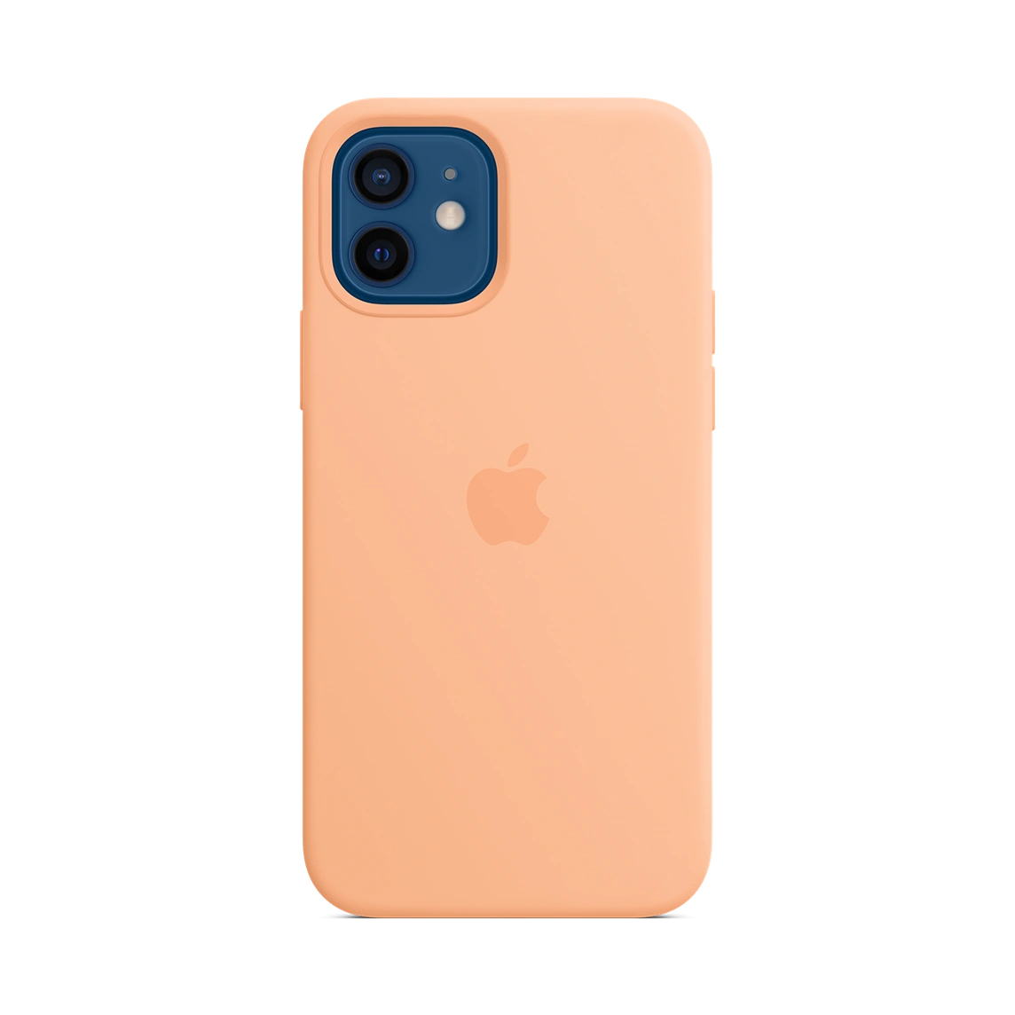 iPhone 12 Mini Silicone Case
