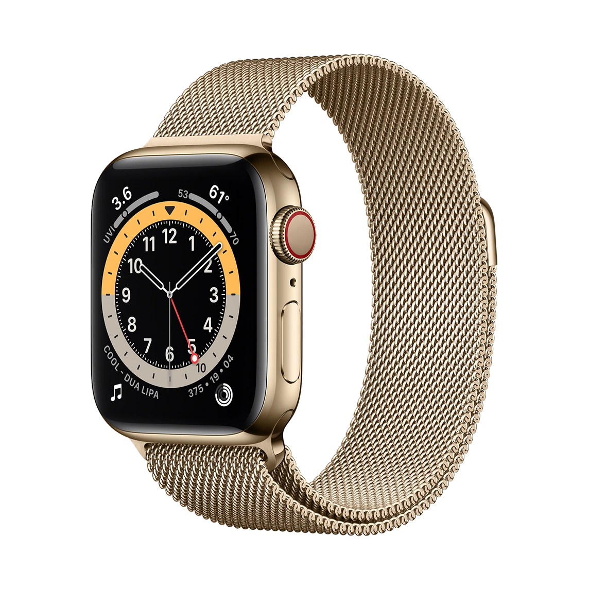 Apple Watch Series 6 Gold Stainless Steel Case with Milanese Loop