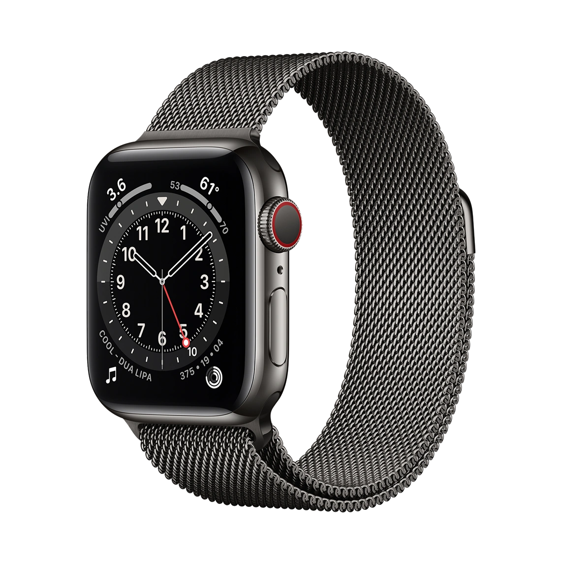 Apple Watch Series 6 Graphite Stainless Steel Case with Milanese Loop