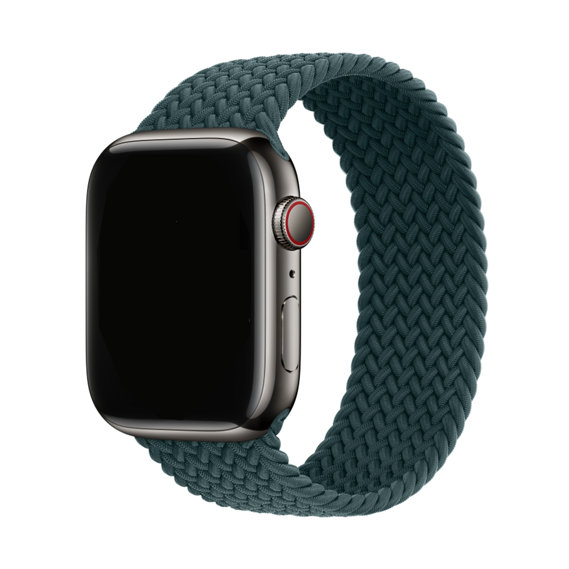 Apple Braided Solo Loop Apple Watch Band Rainforest